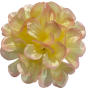 К125
