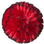 К141