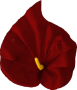 K142