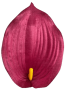 K142