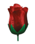 K142