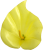 K162