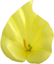 K162