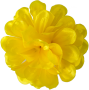 K162