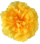 К162