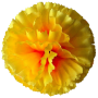 К166