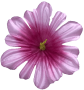 К188