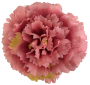 К191