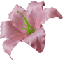 К191