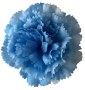 К223