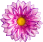 K188