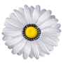 К 100