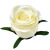 К 120