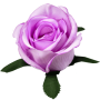 В2К245