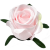В2К260