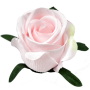 В2К260