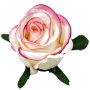 В2К266