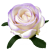 В2К267