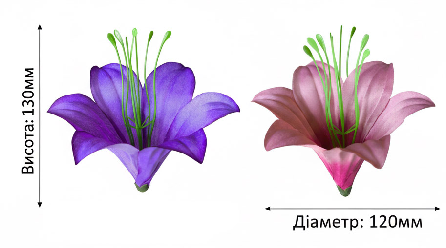 Lily 004 rozmiar głowy