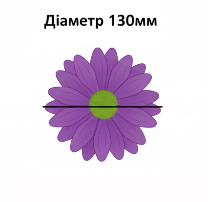 Wielkość główki kwiatu