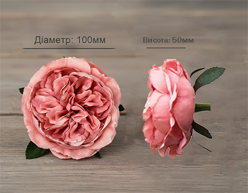 Pąk kwiatu róży, wymiary